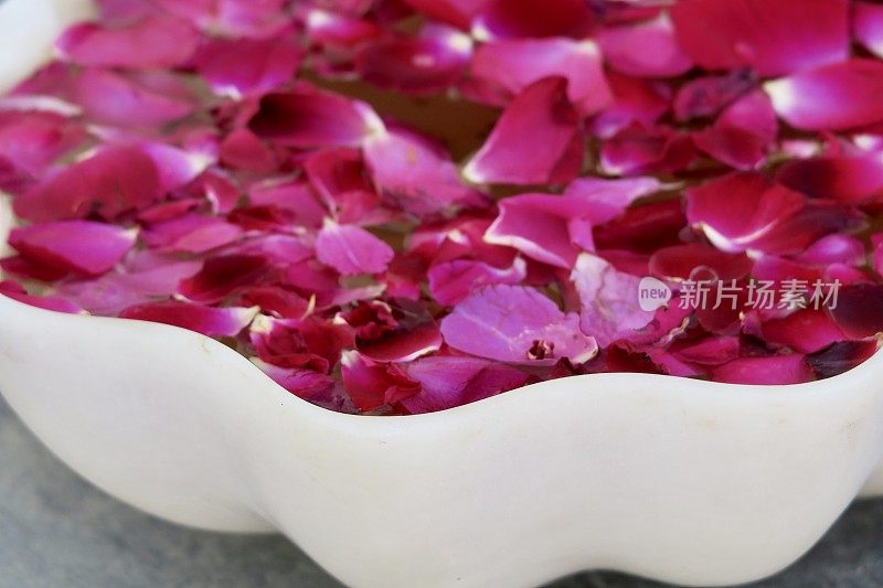 红玫瑰花瓣漂浮在水盘上，传统的印度家庭/酒店/寺庙欢迎客人的照片